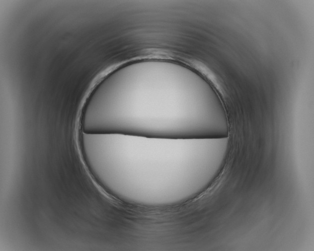 X0000113081379200908280938
