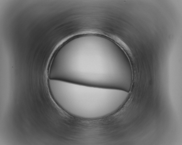 X0000113081380200908280938