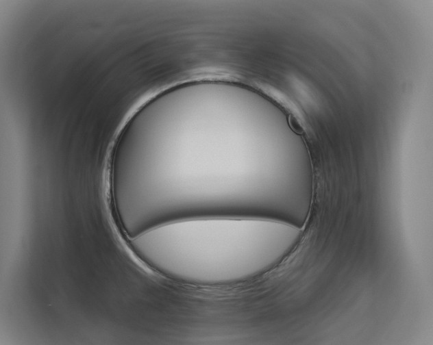 X0000113081383200908280938
