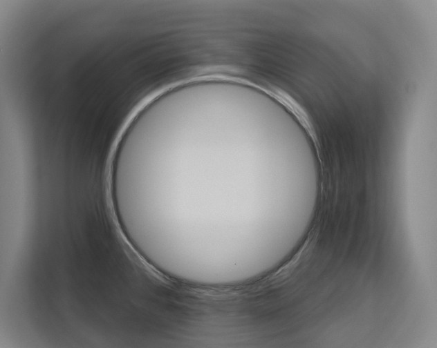X0000113081384200908280938