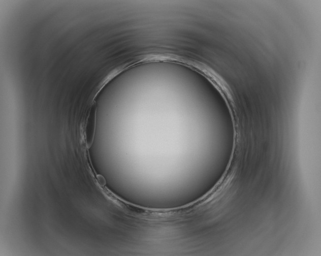 X0000113081385200908280938