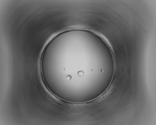 X0000113081389200908280938