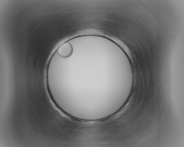 X0000113081390200908280938