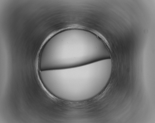 X0000113081391200908280938