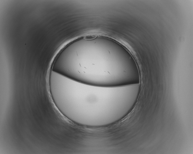 X0000113081392200908280938