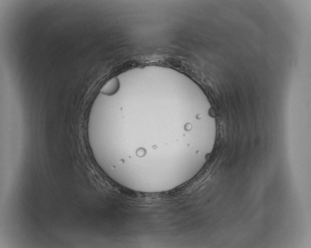 X0000113081393200908280938