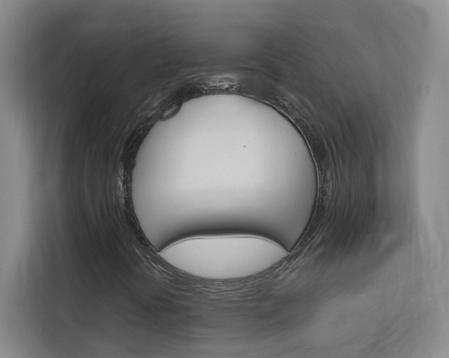 X0000113081394200908280938