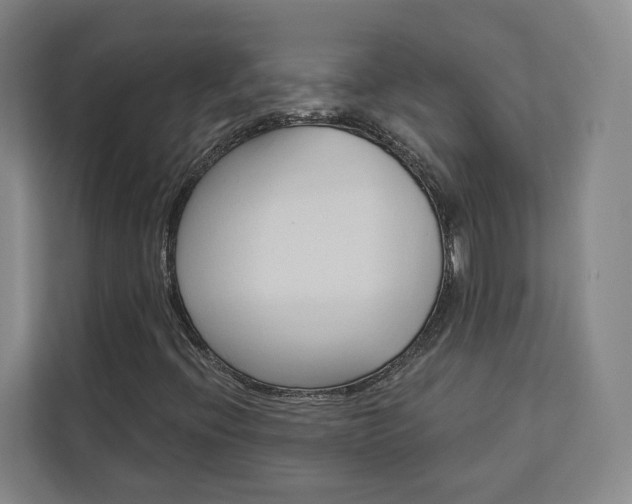 X0000113081396200908280938