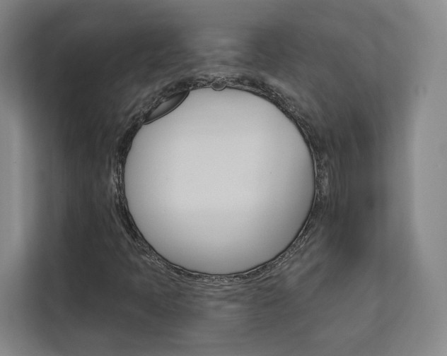X0000113081397200908280938