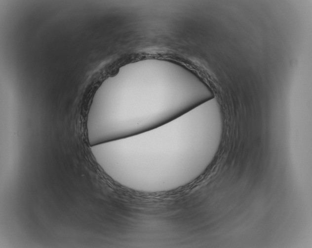 X0000113081398200908280938