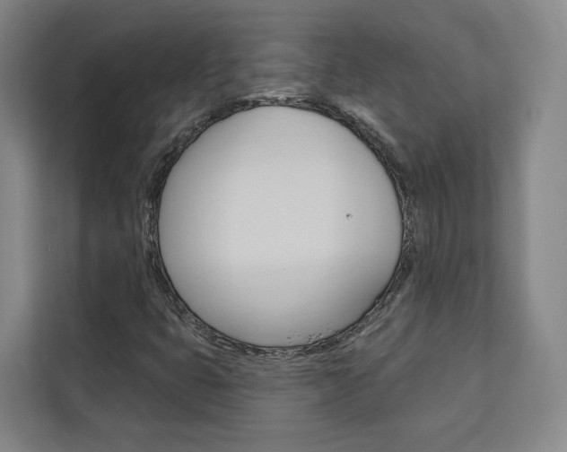 X0000113081399200908280938