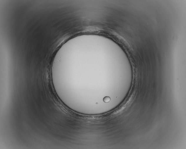 X0000113081401200908280938