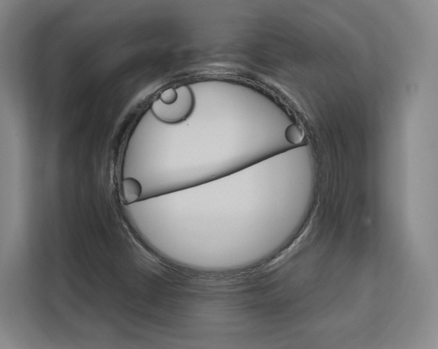 X0000113081402200908280938