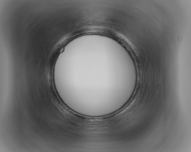 X0000113081403200908280938