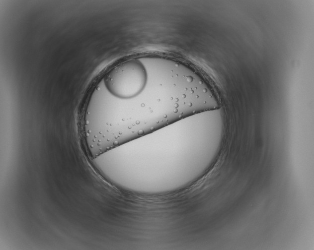 X0000113081404200908280938