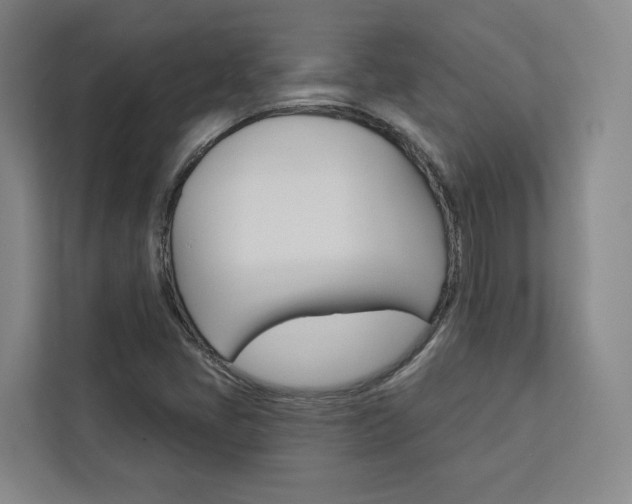 X0000113081405200908280938