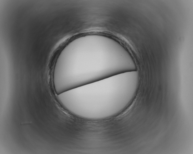 X0000113081406200908280938
