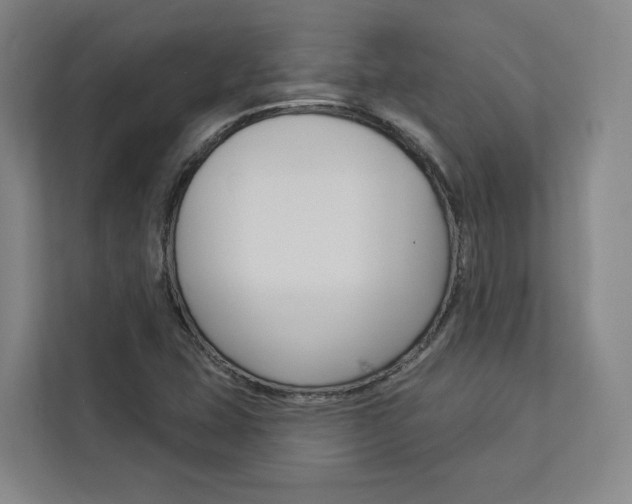 X0000113081407200908280938