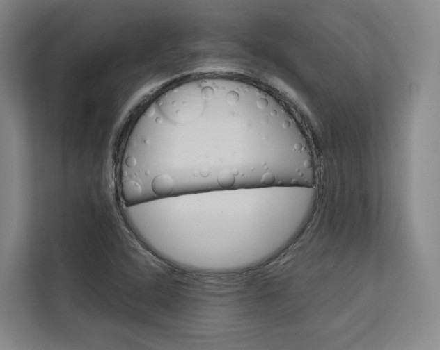 X0000113081408200908280938
