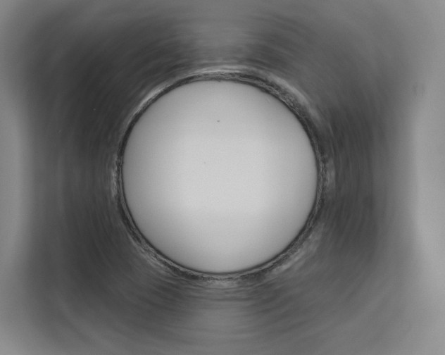 X0000113081409200908280938