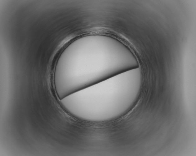 X0000113081410200908280938