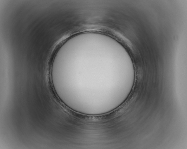 X0000113081411200908280938