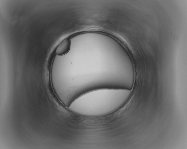 X0000113081414200908280938