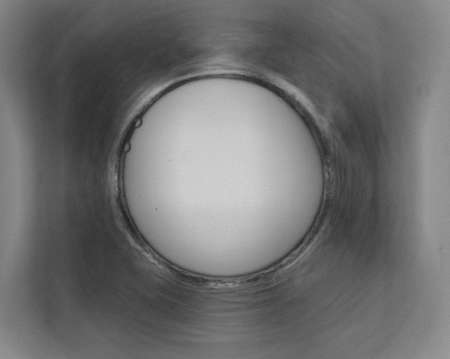 X0000113081415200908280938