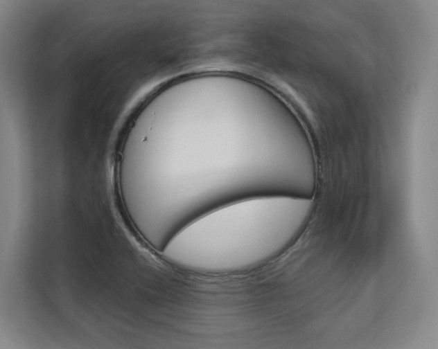 X0000113081416200908280938