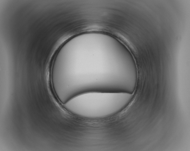 X0000113081418200908280938
