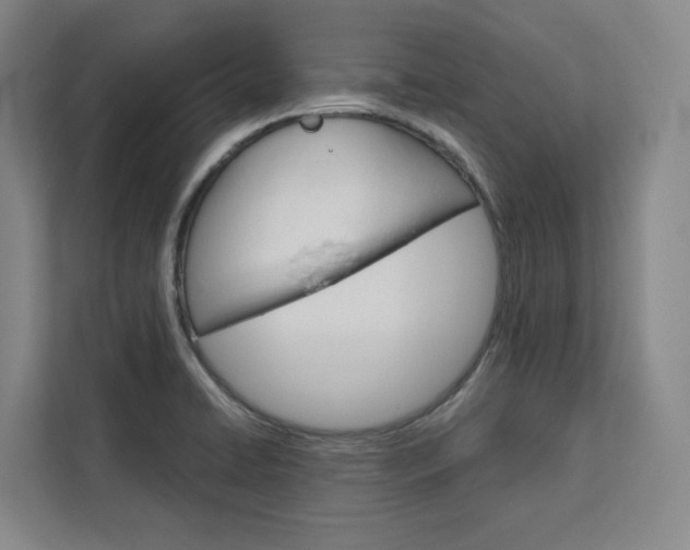 X0000113081422200908280938