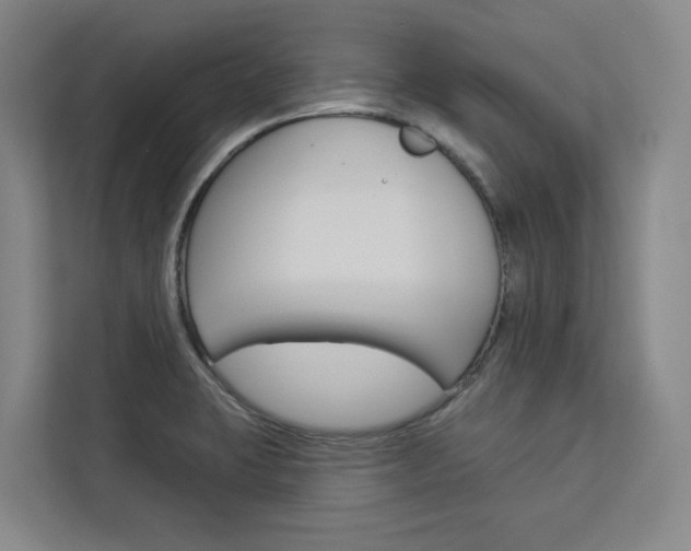 X0000113081423200908280938