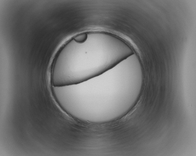 X0000113081424200908280938