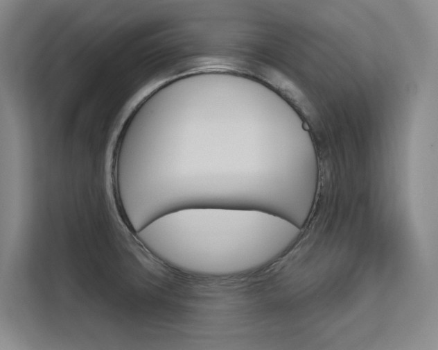 X0000113081427200908280938