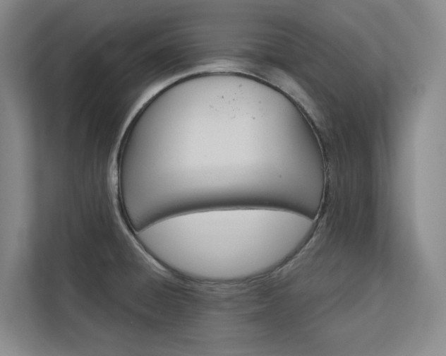 X0000113081428200908280938