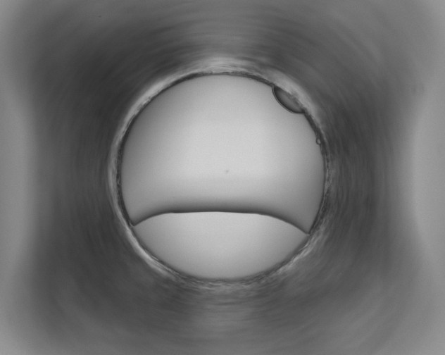 X0000113081429200908280938