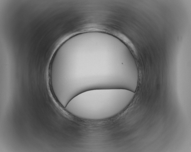 X0000113081431200908280938