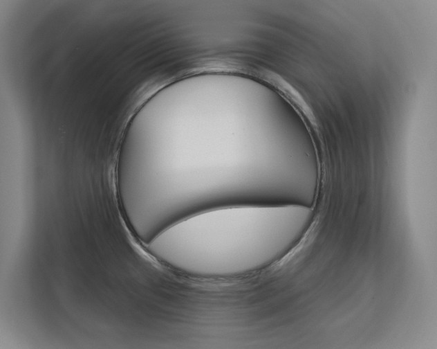 X0000113081433200908280938