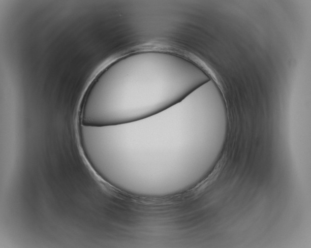 X0000113081434200908280938