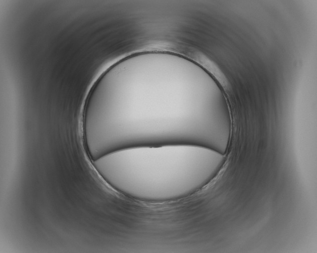 X0000113081436200908280938