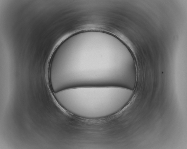 X0000113081437200908280938