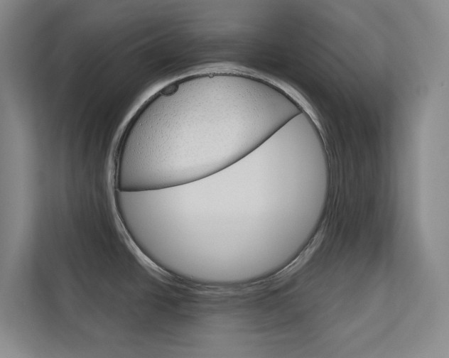 X0000113081438200908280938