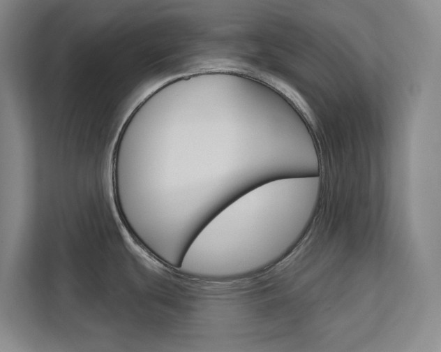 X0000113081439200908280938
