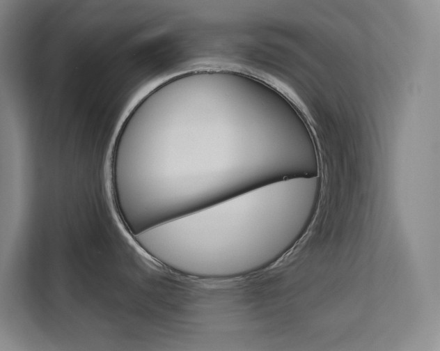 X0000113081440200908280938