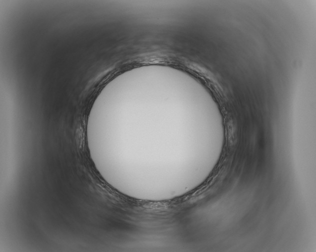 X0000113081446200908280938