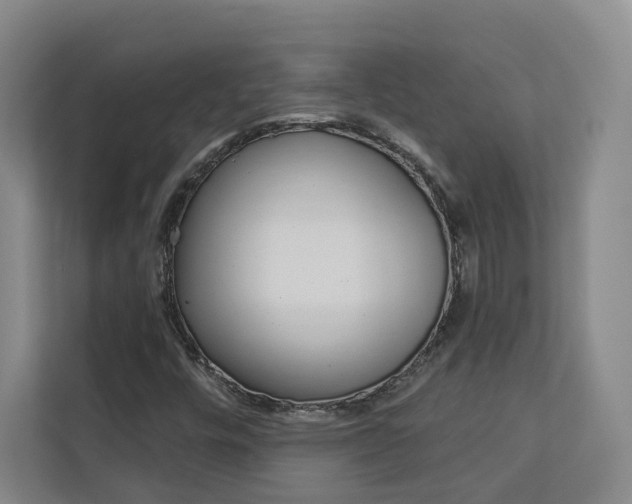 X0000113081448200908280938