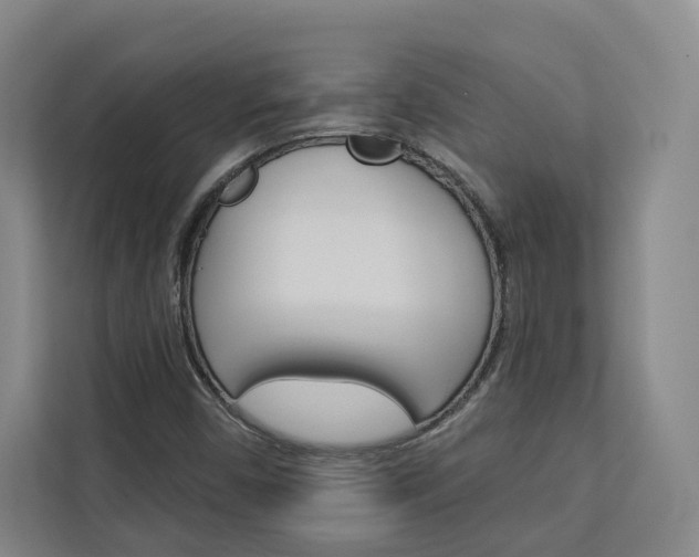 X0000113081450200908280938
