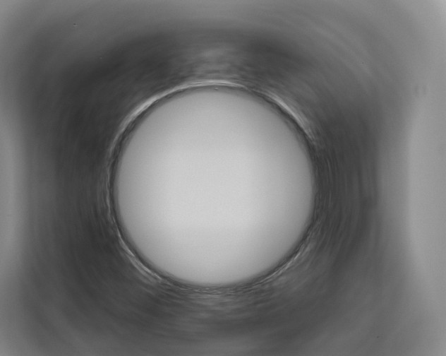 X0000113081452200908280937