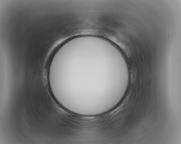 X0000113081454200908280937