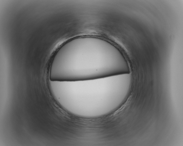 X0000113081455200908280937